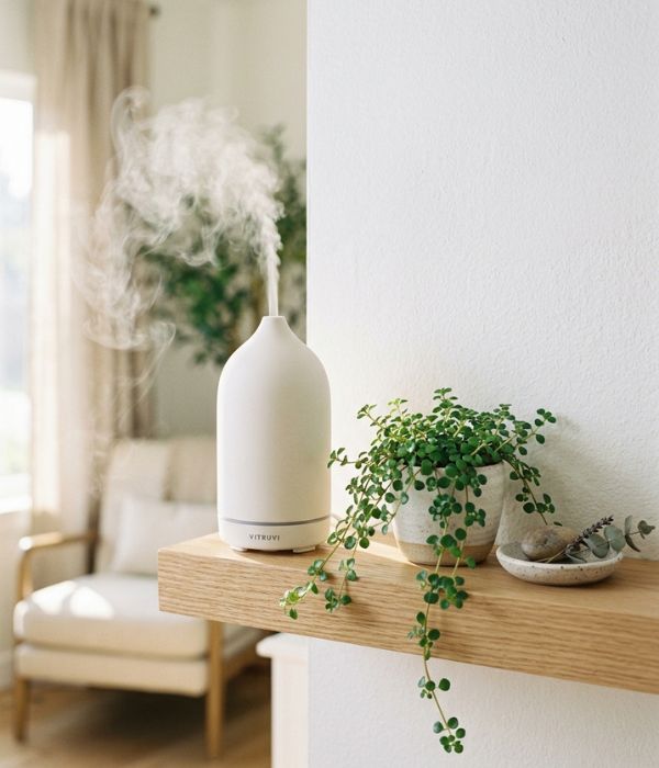 Aesthetic Gifts for Wife: A Vitruvi Stone Diffuser